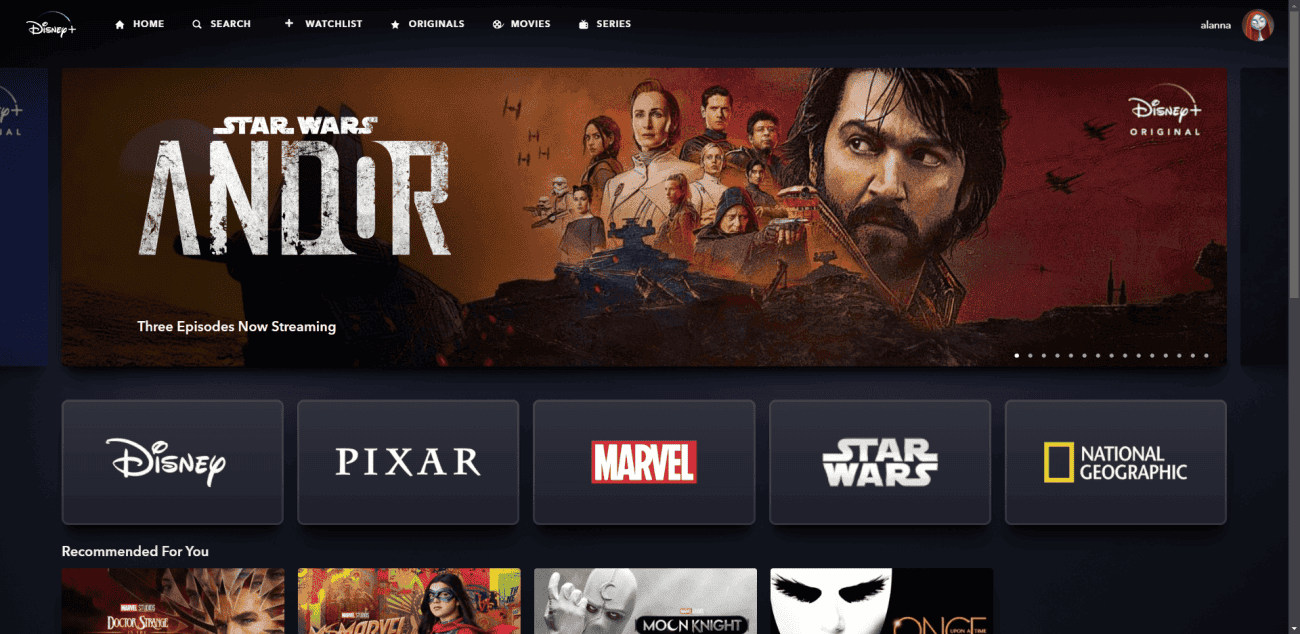 Has Disney+ Replaced Netflix? Why Does Everyone Love This Streaming ...